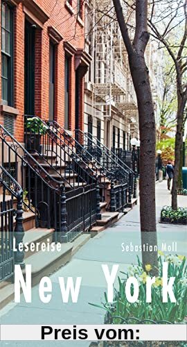 Lesereise New York: Stories aus einer Stadt im Umbruch (Picus Lesereisen)